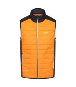Regatta Mens Halton VII Padded Vest (Orange Pepper/Black)