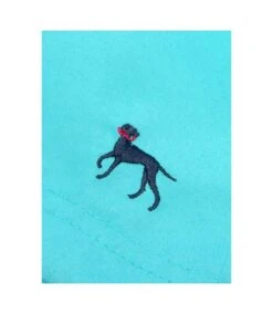 Bewley & Ritch Mens Alden Swim Shorts (Aqua) -Featured Men'S Clothing Stores 128EC4C2D8BF6FFB566B7C26BB186DA80EFA0AC5F78A4C076B580F3DC48139F3