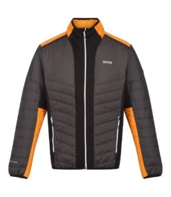 Regatta Mens Halton VII Contrast Panel Baffled Padded Jacket (Ash/Orange Pepper)