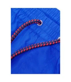 Bewley & Ritch Mens Alden Swim Shorts (Cobalt Blue) -Featured Men'S Clothing Stores 2B49BF517931044CBCBD9D33D3F6A14D2B52B618DF350FAEFD93E128E306D9B6