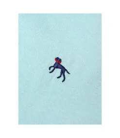 Bewley & Ritch Mens Galand Oxford Short-Sleeved Shirt (Mint) 9 Bewley & Ritch Mens Galand Oxford Short-Sleeved Shirt (Mint) -Featured Men'S Clothing Stores 2BA7F0A30D9E76D9A31A0D10B33F7FCF0CAF48BD38C61521AD948D6A164854F7