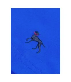 Bewley & Ritch Mens Alden Swim Shorts (Cobalt Blue) -Featured Men'S Clothing Stores 3B5EAA2098B7106257D9AF15F0438411E1428007579F18AF17BEFBB7280E57A9