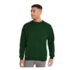 Maddins Mens Colorsure Plain Crew Neck Sweatshirt (Bottle Green)