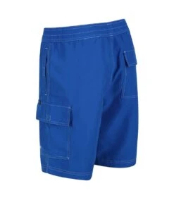 Regatta Mens Hotham IV Swim Shorts (Lapis Blue) -Featured Men'S Clothing Stores 49607BEC4AD08503BBCE35314DA12D5AA36F5328AF962EED387995F2F3F905D3