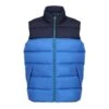 Regatta Mens Vintage Colour Block Vest (Strong Blue/Navy) 2 Regatta Mens Vintage Colour Block Vest (Strong Blue/Navy) -Featured Men'S Clothing Stores 4C742D0608E3E41C46BACCF9BE4650FFEDA68F739FBDD32F0563A0FFFCE90B67
