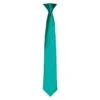 Premier® Premier Unisex Adult Satin Tie (Emerald) (One Size) -Featured Men'S Clothing Stores 50B9332243FEE87AB59595D61DE643AA8FC148A8A0CC49551219647B554F682E