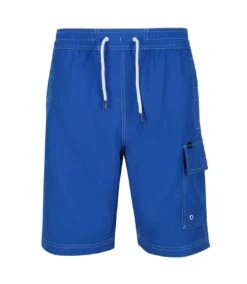 Regatta Mens Hotham IV Swim Shorts (Lapis Blue)