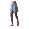 Born Rich Mens Benzema Swim Shorts (Blue Ice)