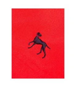 Bewley & Ritch Mens Alden Swim Shorts (Red) -Featured Men'S Clothing Stores 8BFCC1ED34E06B5B680AE01594C055C555C5D4036076F60A6BDEA847A8CA81ED