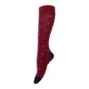 Hackett Mens Socks (Red) -Featured Men'S Clothing Stores 93C757A434CF1619BCC67889038576FF7E36973207754E77FEE860F795786FD7