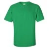 Gildan Mens Ultra Cotton Short Sleeve T-Shirt (Irish Green) -Featured Men'S Clothing Stores 9C52FC4584B12CEDDA644C0B5B9E1C39904FC0EACF9A7321DA69482808264BD0