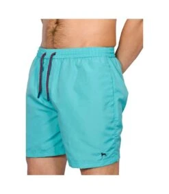 Bewley & Ritch Mens Alden Swim Shorts (Aqua)