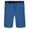Regatta Mens Xert III Stretch Shorts (Dynasty Blue) -Featured Men'S Clothing Stores BEE4875BA326F073F5DDE25C034DDB72D5FAA8CE9609FAF999CBF92116EB2380