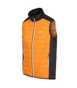 Regatta Mens Halton VII Padded Vest (Orange Pepper/Black) -Featured Men'S Clothing Stores C1E62475DB0064AA876AF54396F29483FDD85AF0D2F4E654721BD7F5397CCA31