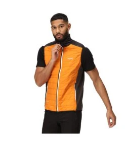 Regatta Mens Halton VII Padded Vest (Orange Pepper/Black) -Featured Men'S Clothing Stores D43B1226CDE783FF48ED381C42477E75B7BA3E21515EE5C1373E5E7D04147746