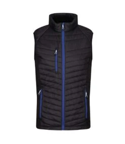 Regatta Mens Navigate Quilted Hybrid Vest (Black/New Royal)